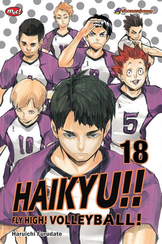 Haikyu!! Fly High! Volleyball! 3