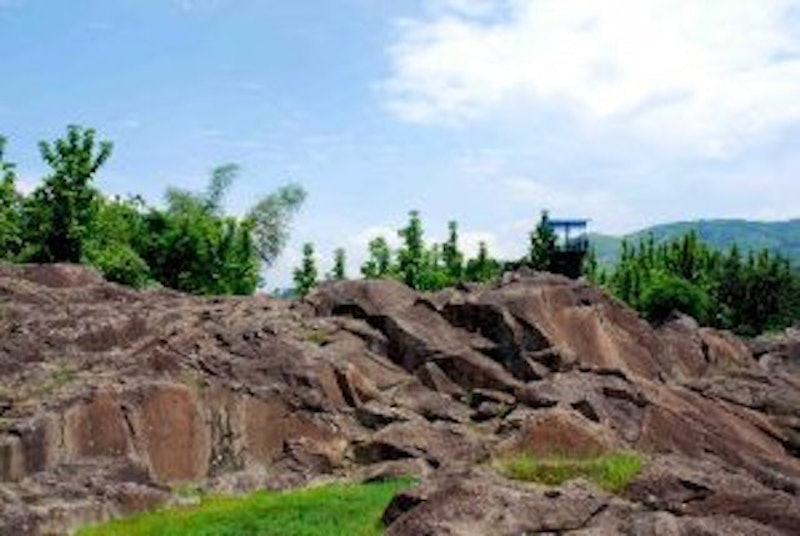 Kampung Batu Ecopark 2