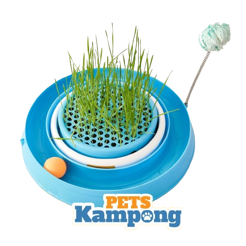 Opo Cat - Play Toy with Grass Planter  1