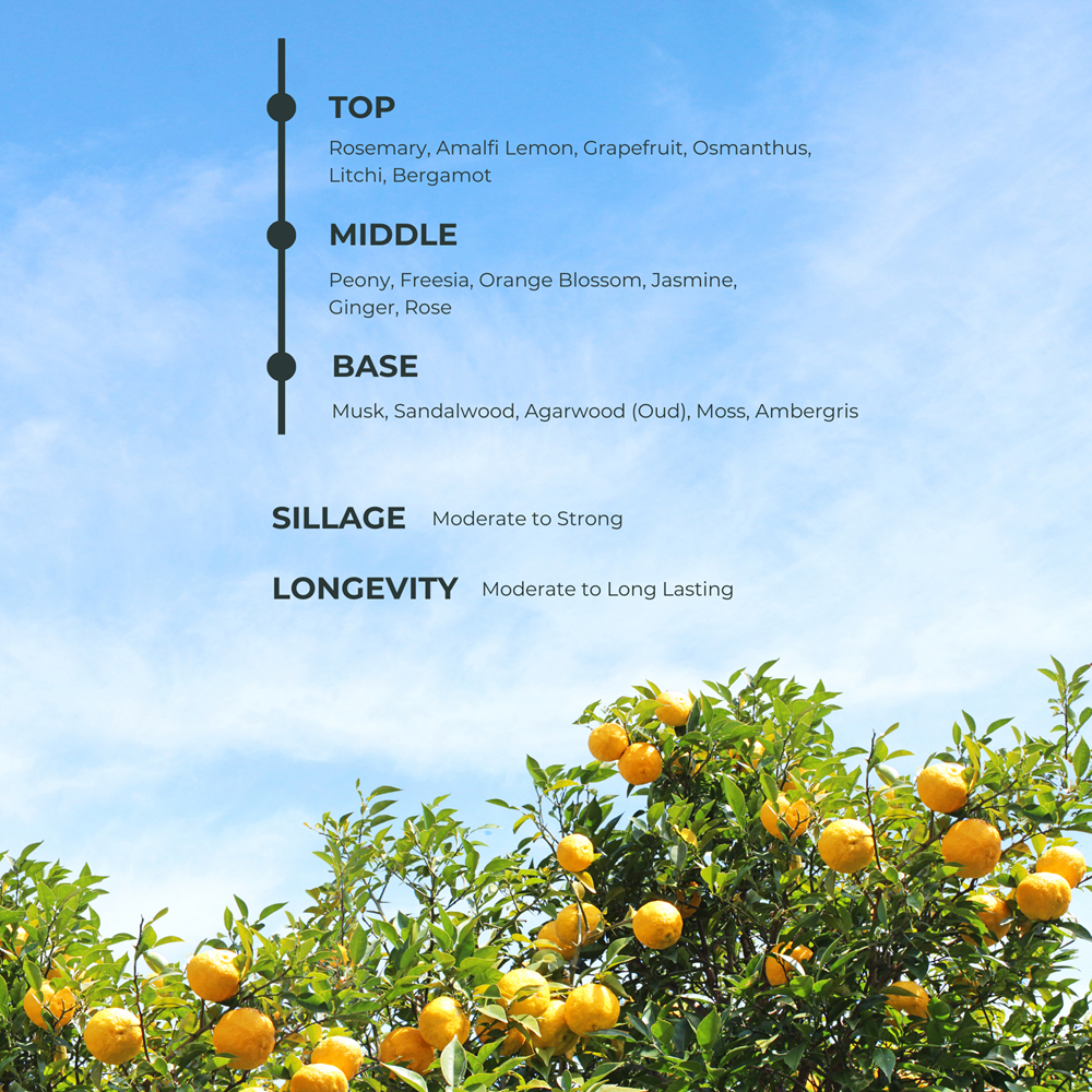 Loco Scent Loco Harvest Feast Eau De Parfum