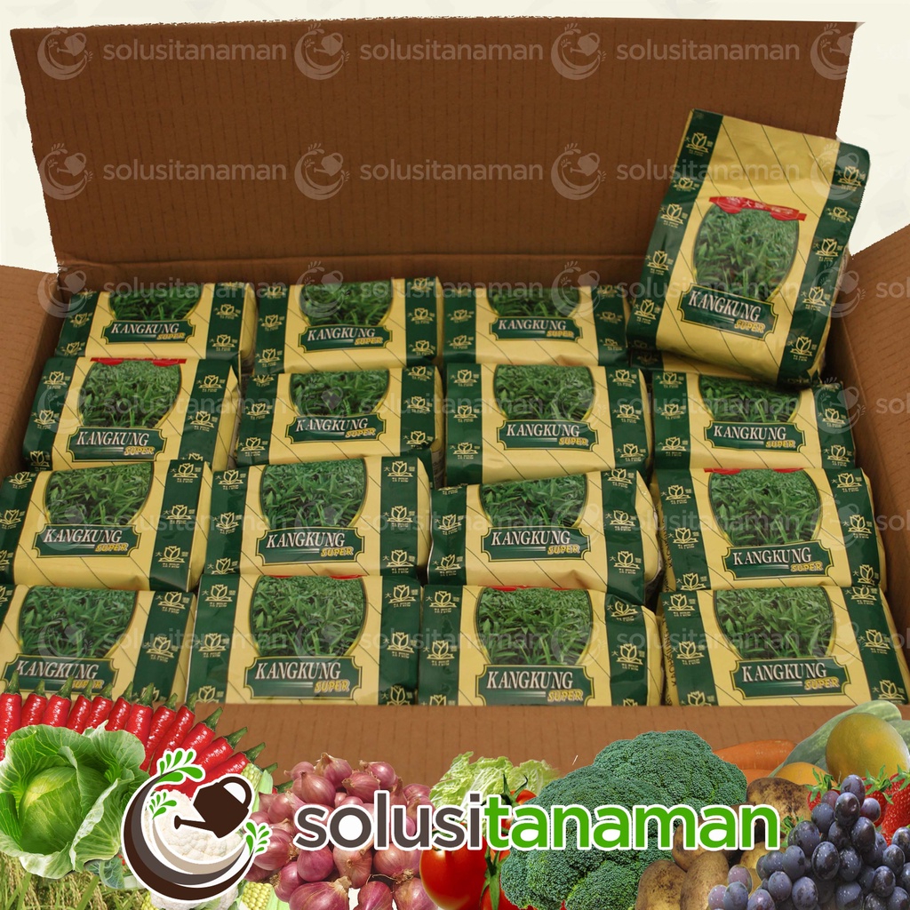 Ta Fung Benih Kangkung Super