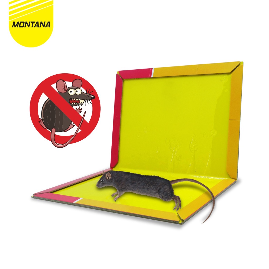  WINPU Perangkap Tikus Super Lengket  WLT-001M