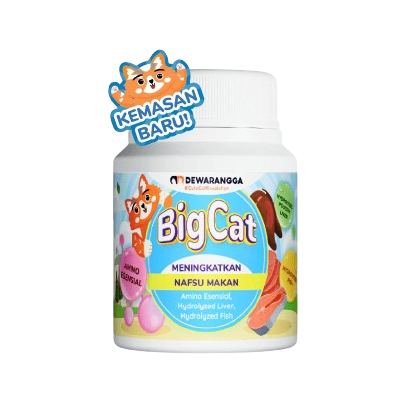 10 Rekomendasi Vitamin Kucing Terbaik  [Ditinjau Dokter Hewan]  3