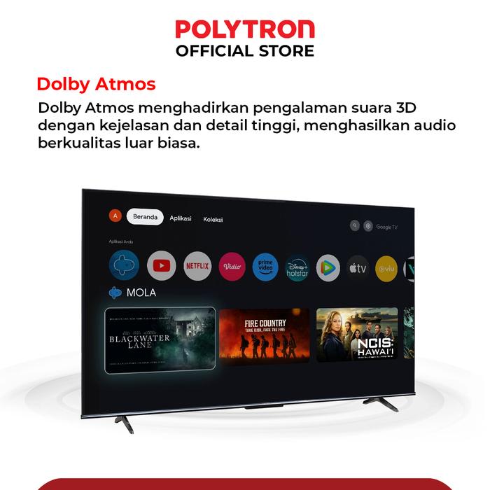 Polytron Polytron 65" 4K UHD Smart Google TV PLD65UG5959