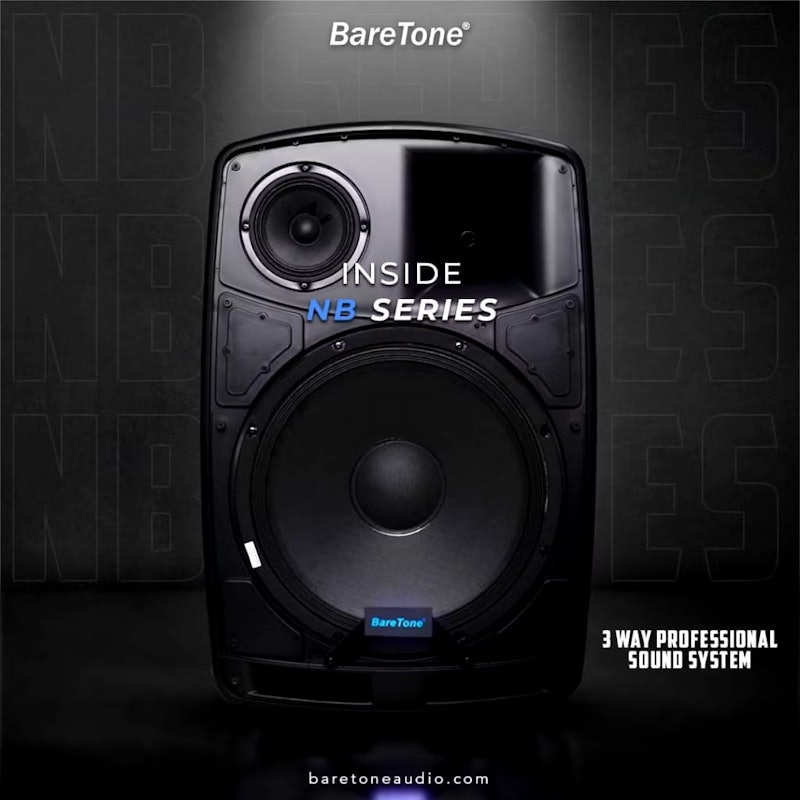 BareTone Audio Portable Speaker 15 Inch 2