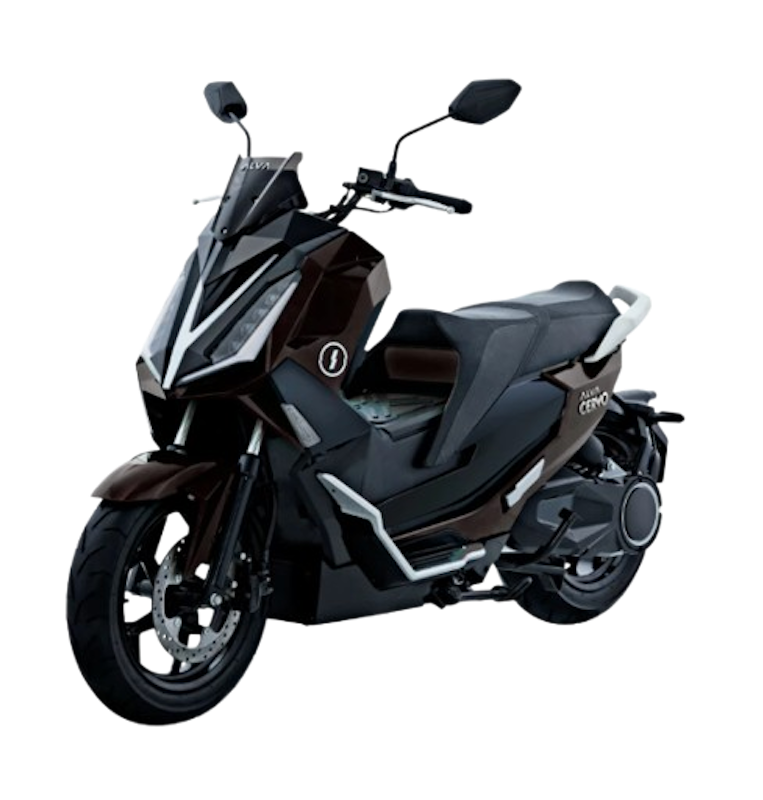 ALVA CERVO 1