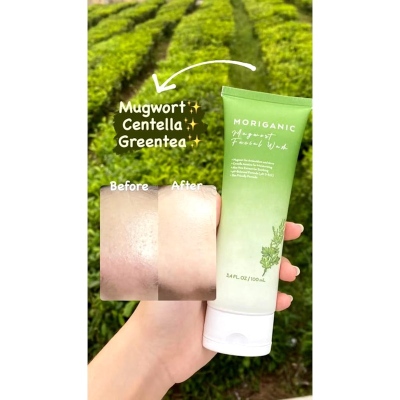 Mugwort Facial Wash 4