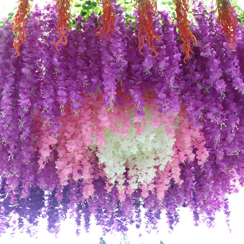 Bunga Hias Wisteria Gantung