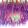 Bunga Hias Wisteria Gantung 1