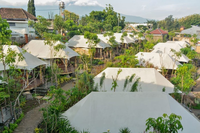 Oak Tree Glamping Resort 1