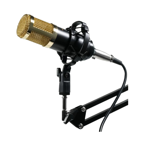 TaffSTUDIO Mikrofon Kondenser Studio  ｜ BM-800