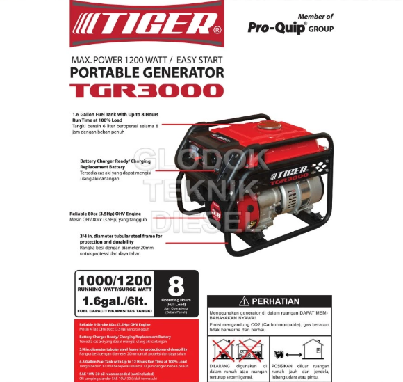  TIGER Portable Generator TGR3000