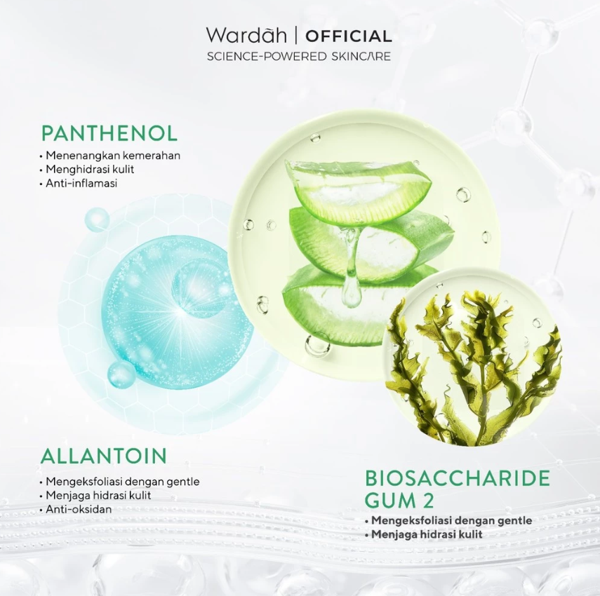 Nature Daily Aloe Seaweed Micellar Water 2