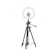 INBEX Ring Light LED 26 cm + Tripod 210 cm 1
