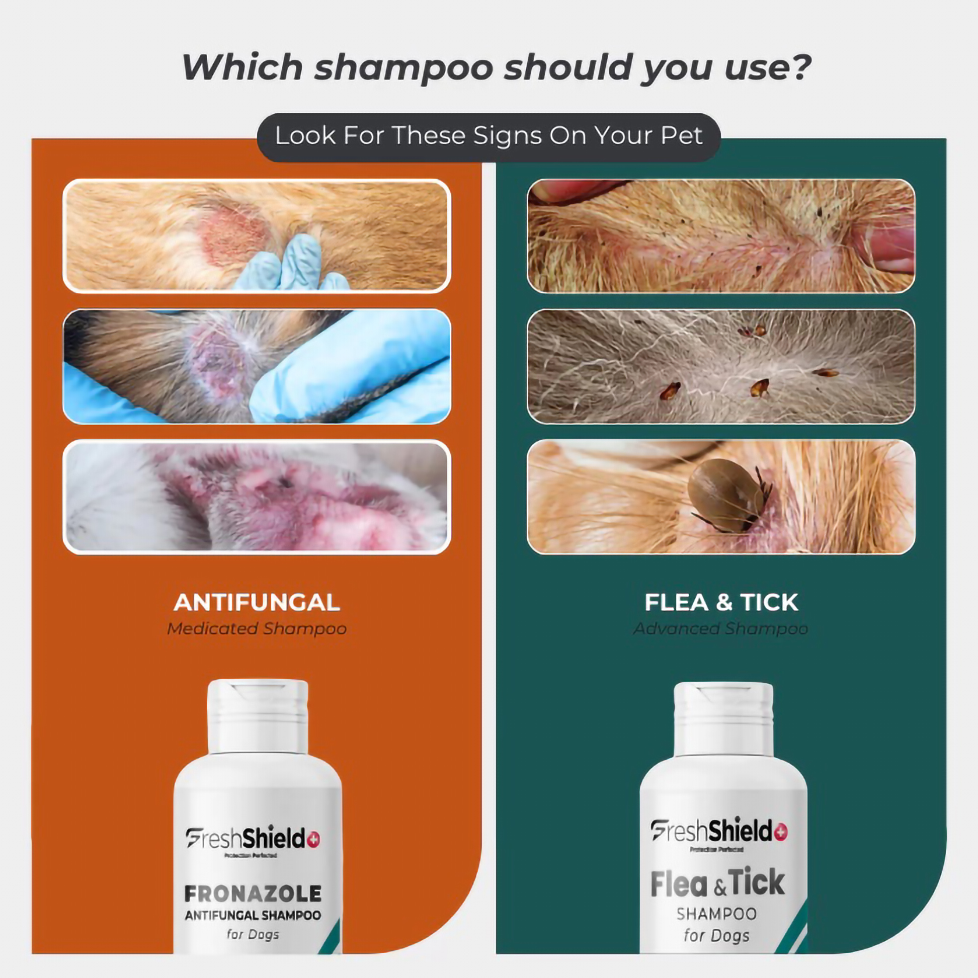 Fresh Shield+ Fronazole Antifungal Medicated Shampoo