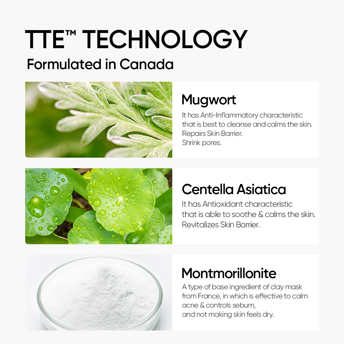 SKINTIFIC Mugwort Acne Clay Mask