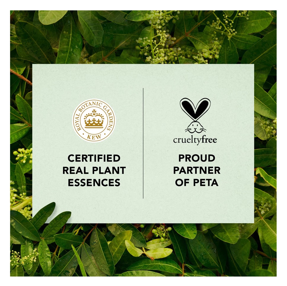 Procter & Gamble Herbal Essences Bio:Renew Tea Tree Oil Hair & Scalp Soothing Shampoo