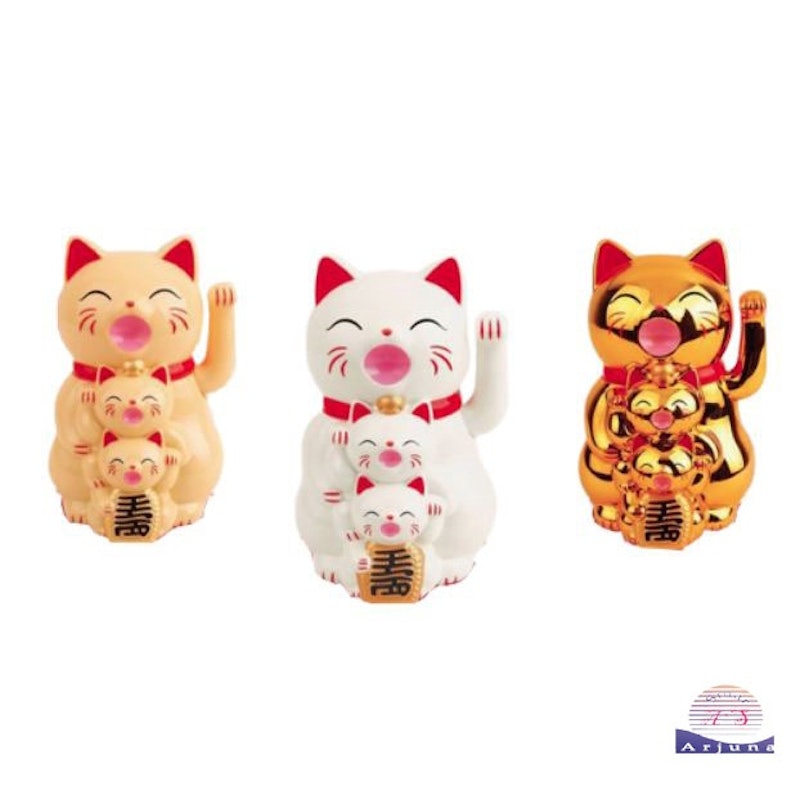 Kucing Hoki Tiga Wajah 2
