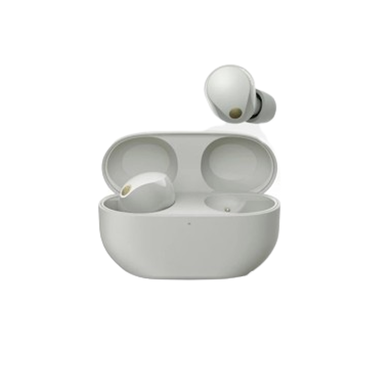 True Wireless Earbuds 1