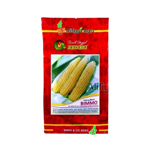  Benih Unggul Jawara Jagung Manis Bimmo