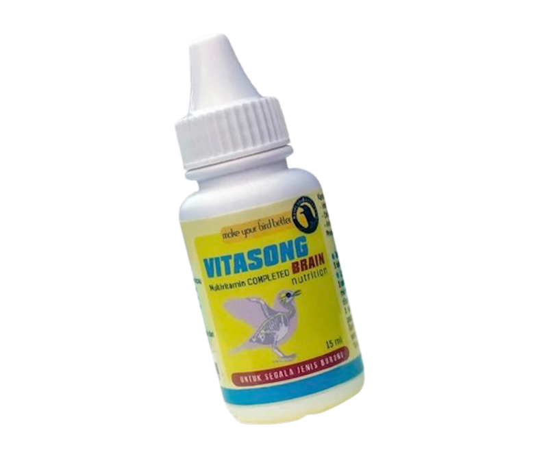 Vitasong Brain 1