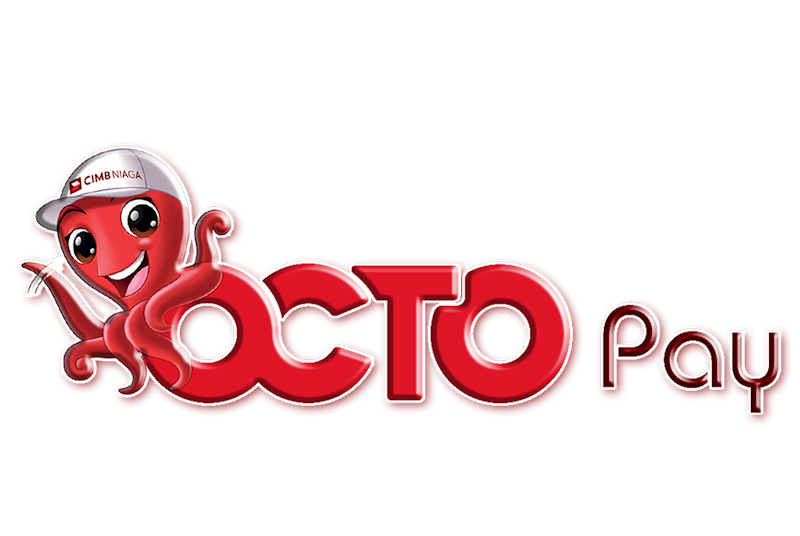 OCTO Pay 1