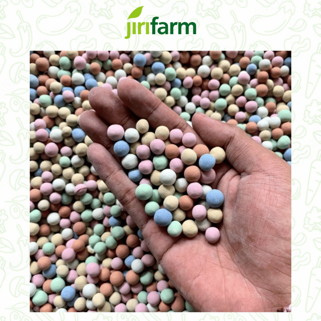 JIRIFARM Hidroton Rainbow Import