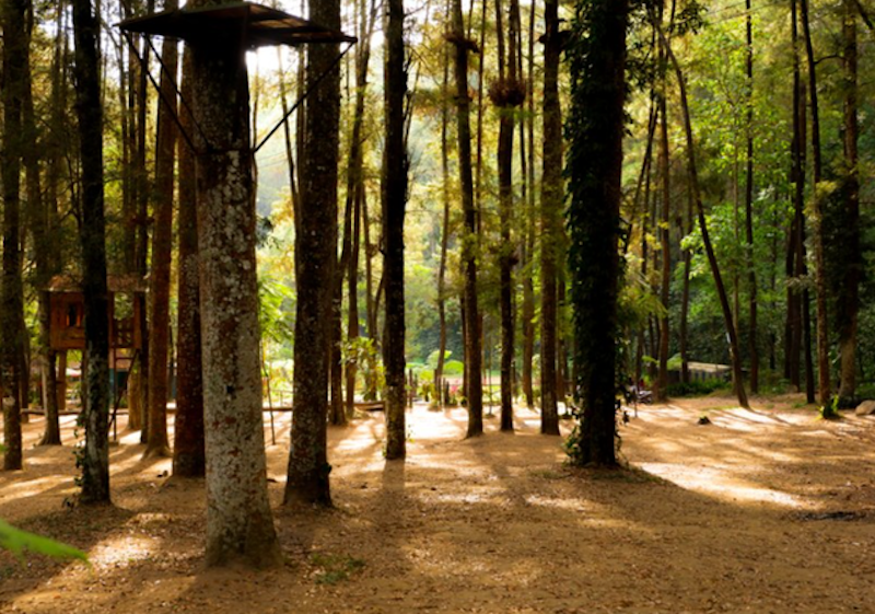 Desa Wisata Poncokusumo 3