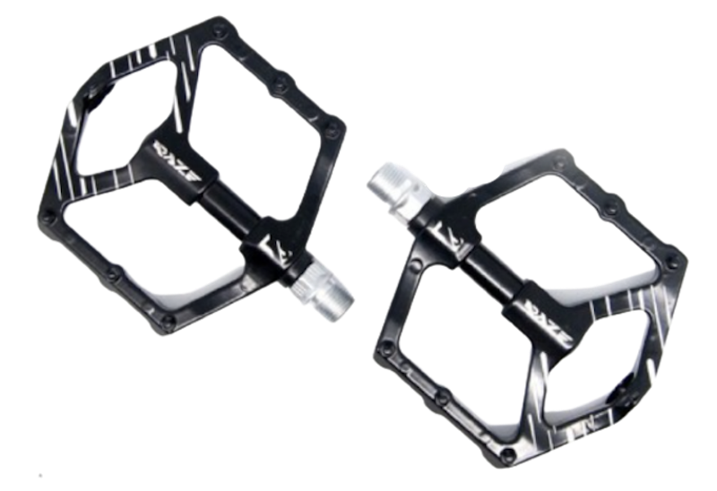 Rough Raze Pedal Bearing 1