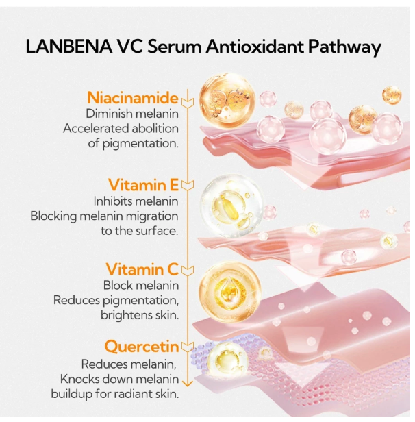 Shenzhen Qianzimei Cosmetics LANBENA Antioxidant 20% Vitamin C Serum
