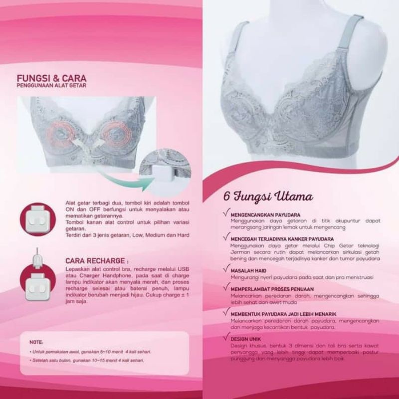 K Link K Perfect Energy Vibration Bra 