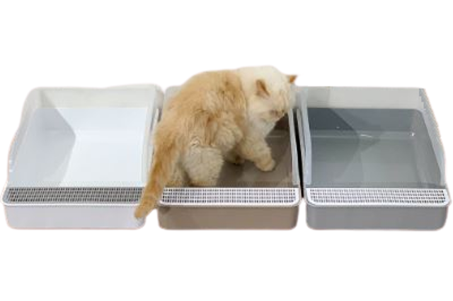 10 Rekomendasi Litter Box Terbaik  [Ditinjau Dokter Hewan]  1