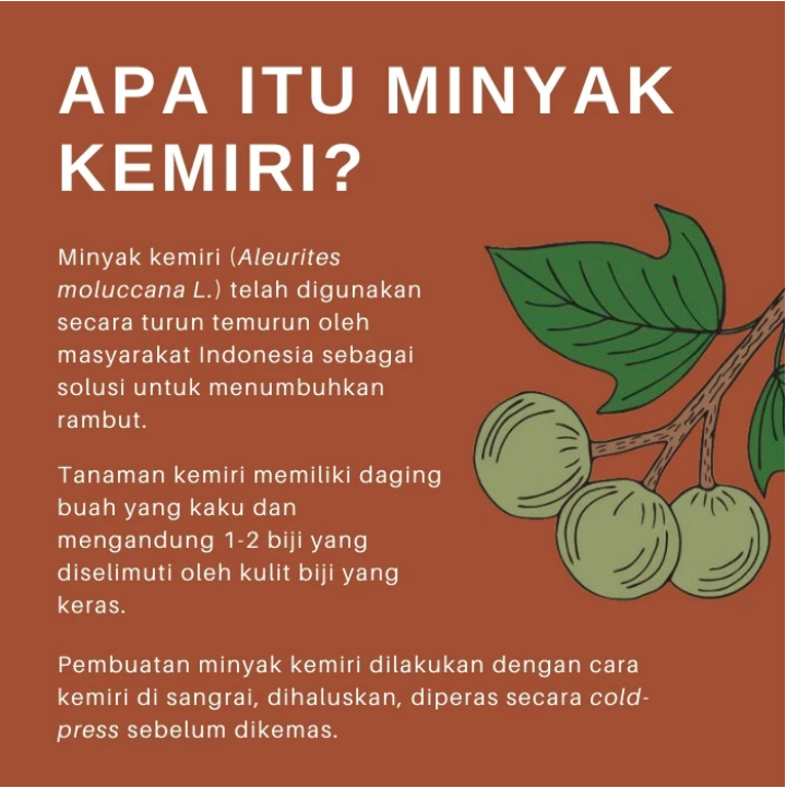 Prima Satya Abadi ROEGAN Minyak Kemiri 