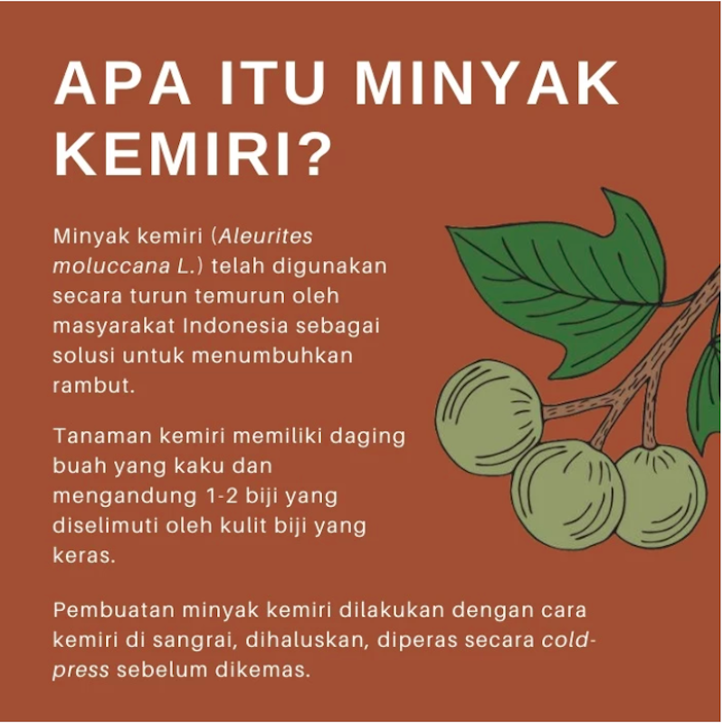 ROEGAN Minyak Kemiri 3
