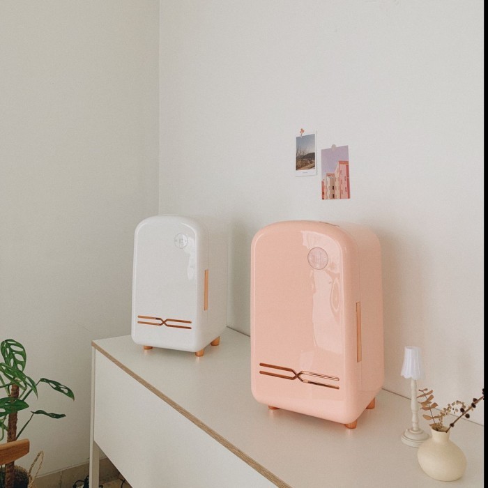  Aesthetic Mini Fridge 12 L