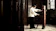 Mandarin Films Ip Man 1