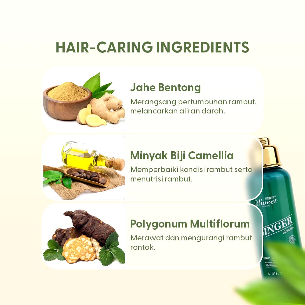 Arkatama Cakkavati Indonesia O'Sweet Singapore Ginger Shampoo
