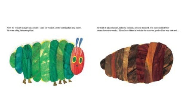 The Very Hungry Caterpillar  4