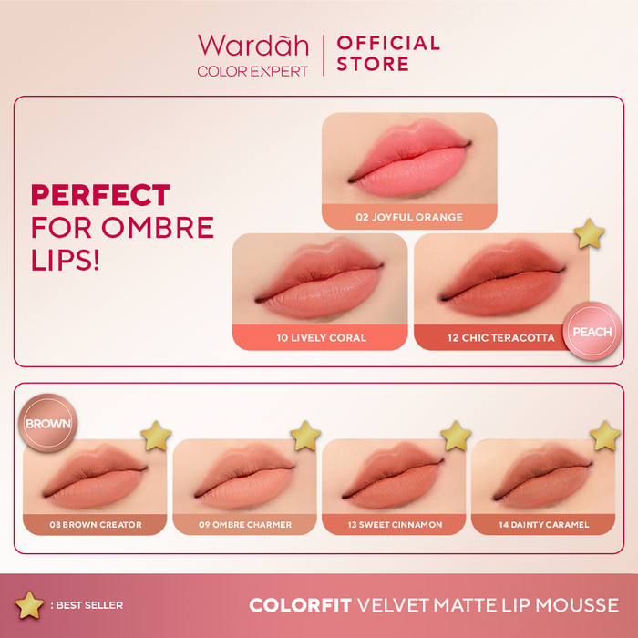 Wardah Colorfit Velvet Matte Lip Mousse 12 Chic Terracotta