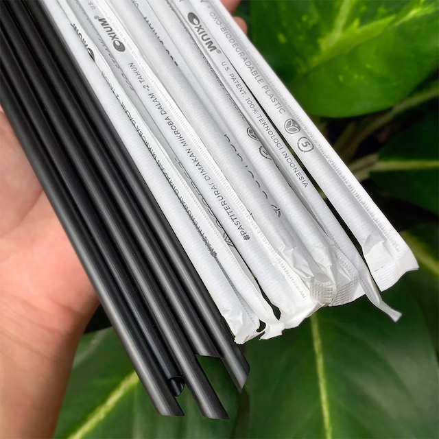 Ecorasa Eco-Straw