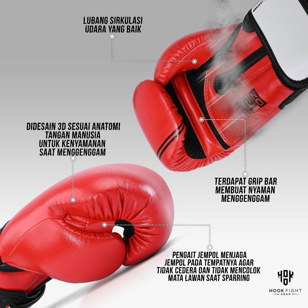  Hook Boxing Gloves HTG Fancy