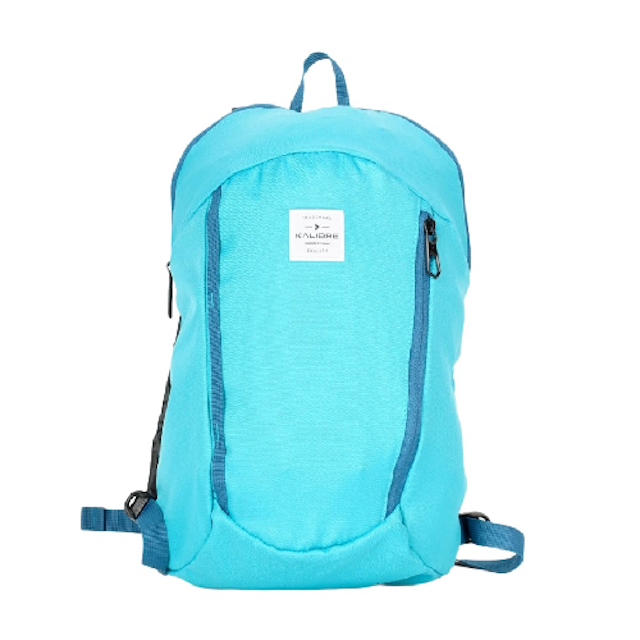 Backpack Ackley 1