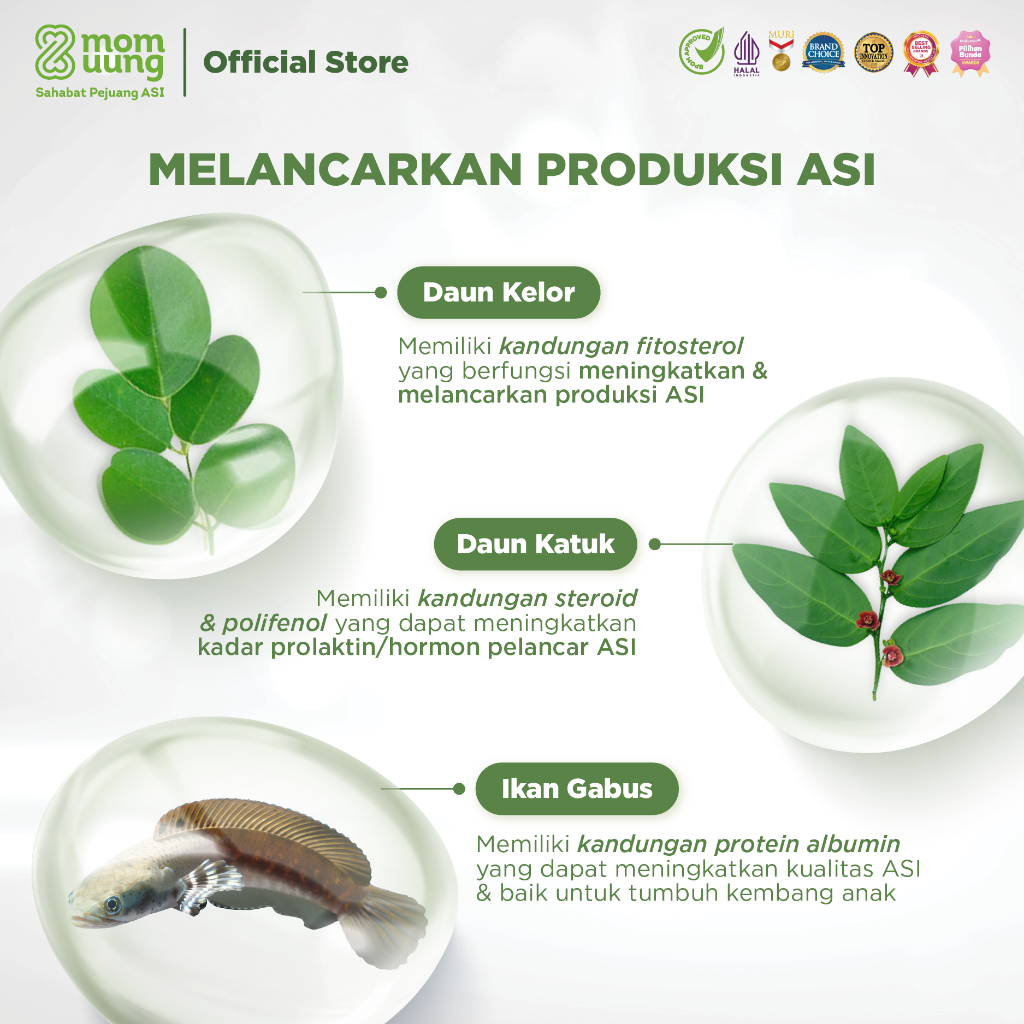 Ibu Anak Sukses Mom Uung Asi Booster