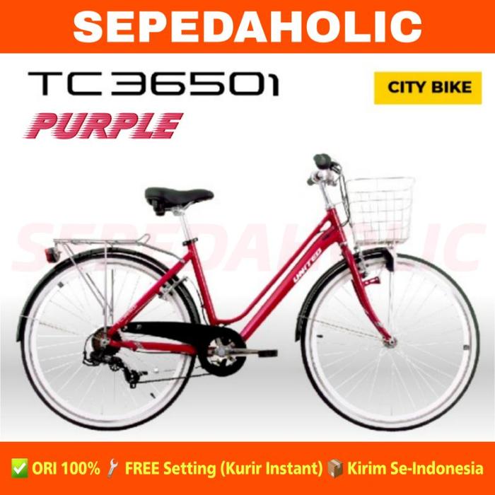 Terang Dunia Internusa UNITED City Bike TC3650i