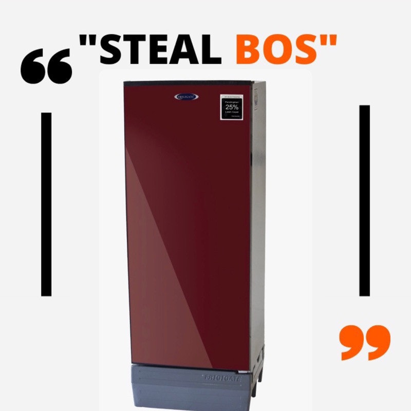 Frigigate Standing Freezer 4