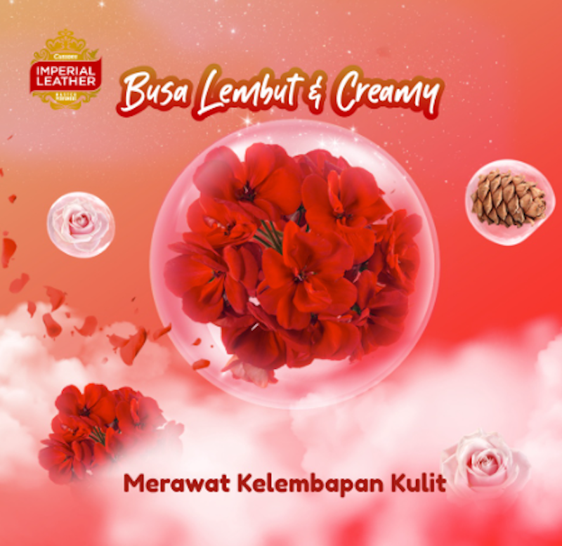 Imperial Leather Bar Soap Classic 4