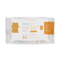 Anti-Bacterial Wipes