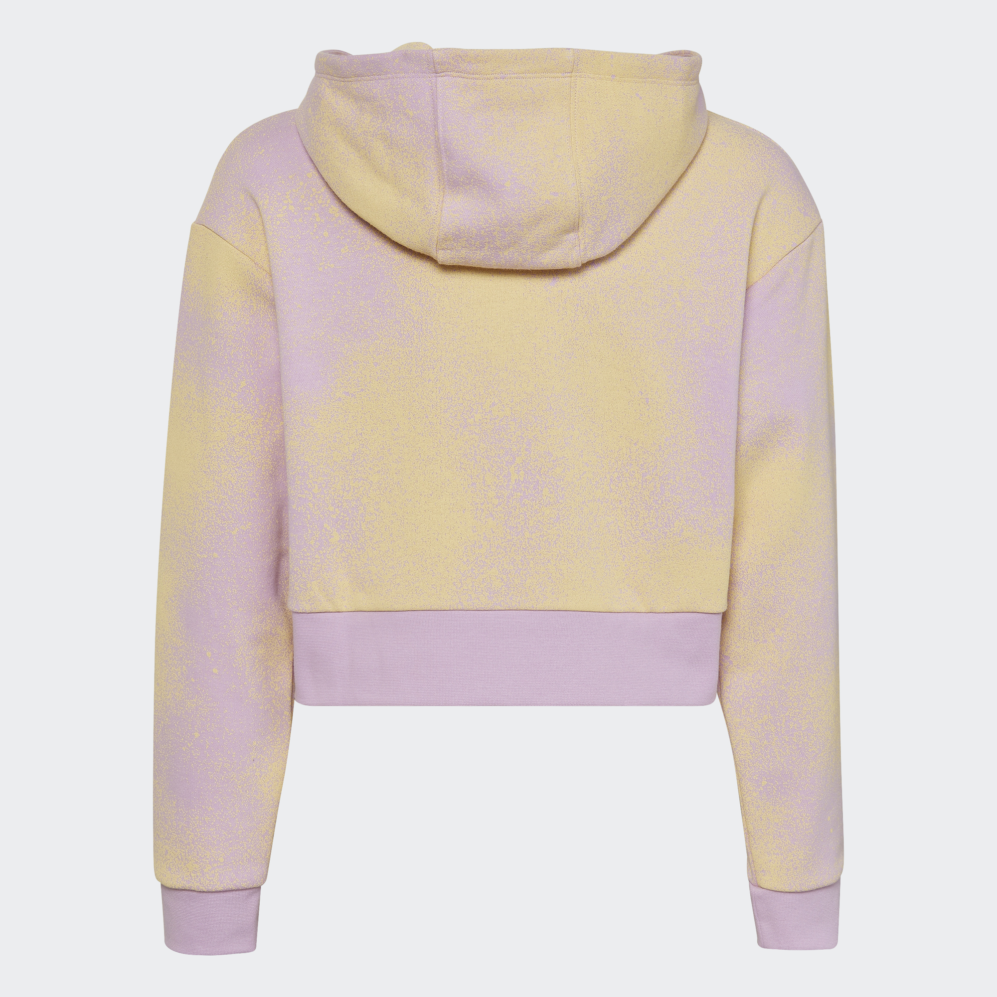 adidas Hoodie Crop Graphic Print HK2942