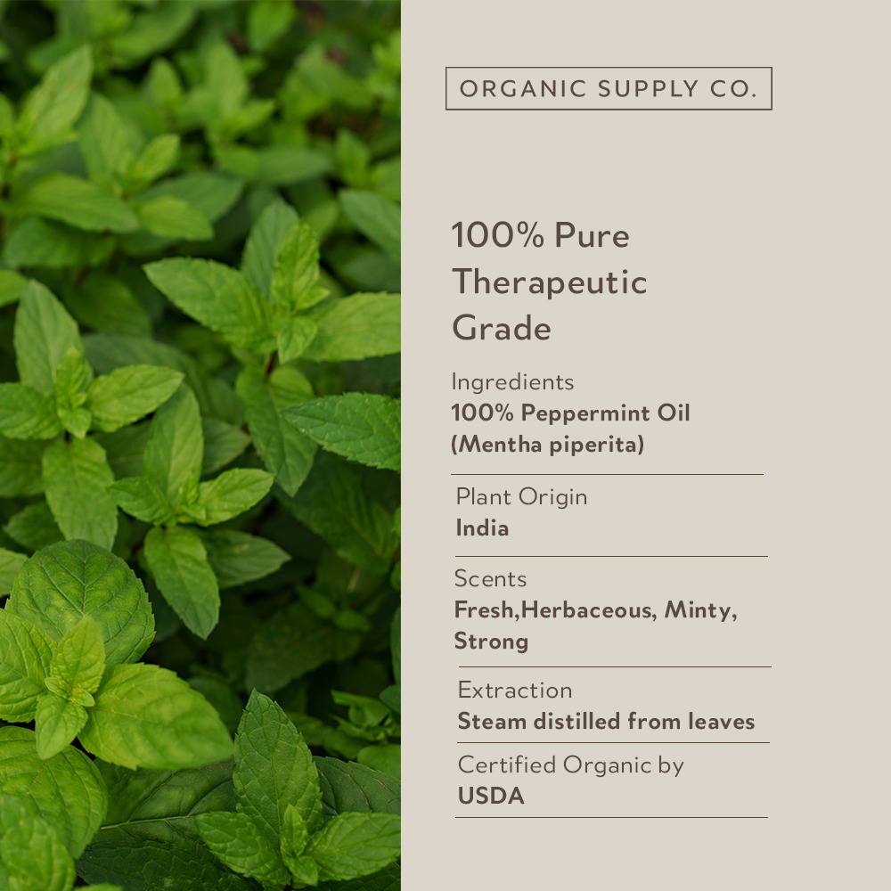 Organic Supply Co. Peppermint 3