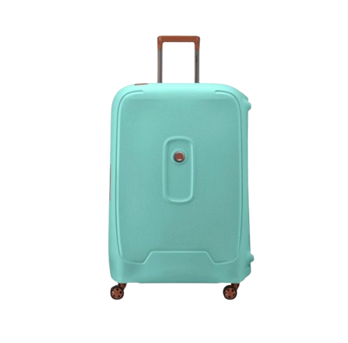 Delsey Moncey 30 Inci